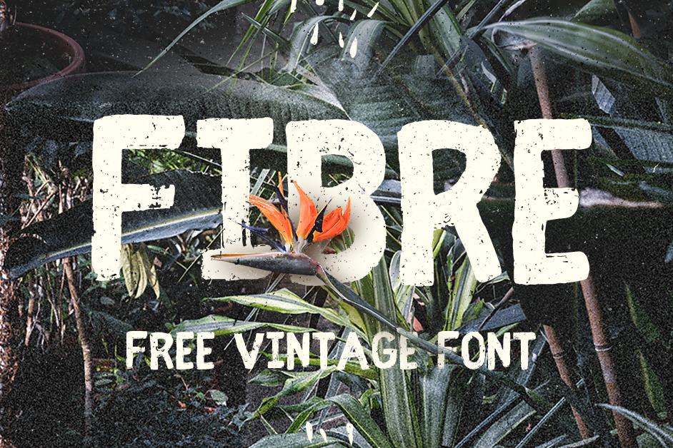 2023 Best Fonts
