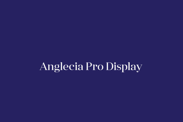 Anglecia Pro Display Fonts Shmonts
