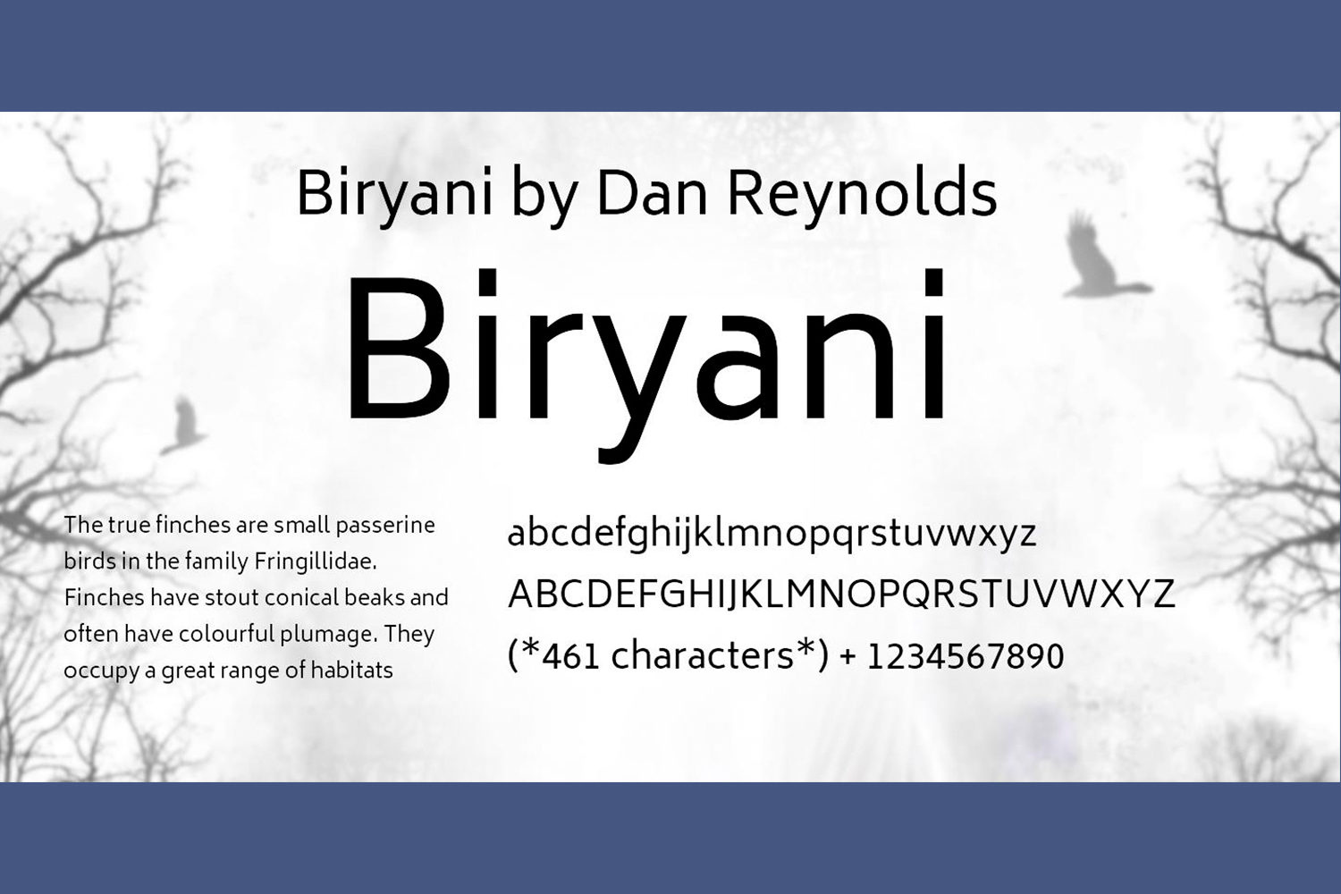 Biryani Free Font Family