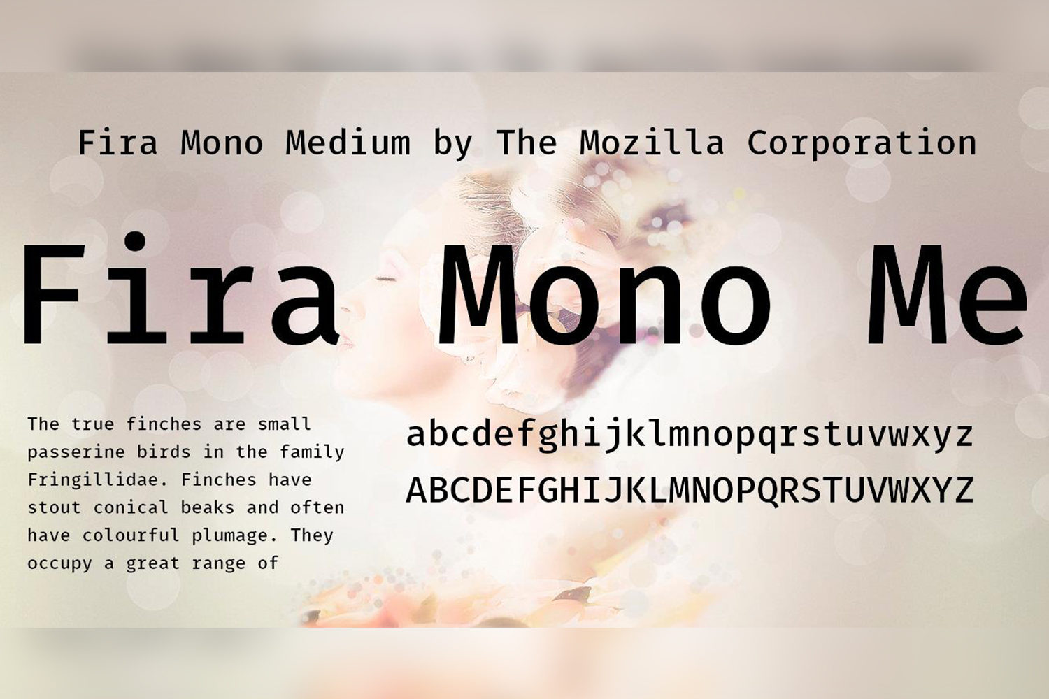 Fira Mono Free Font Family