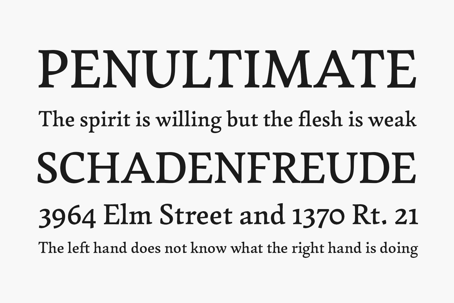 Garibaldi Font, Webfont & Desktop