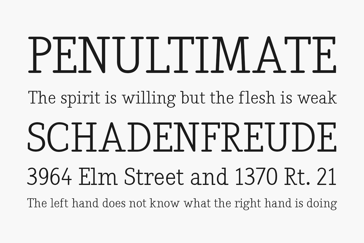 Nadia Serif