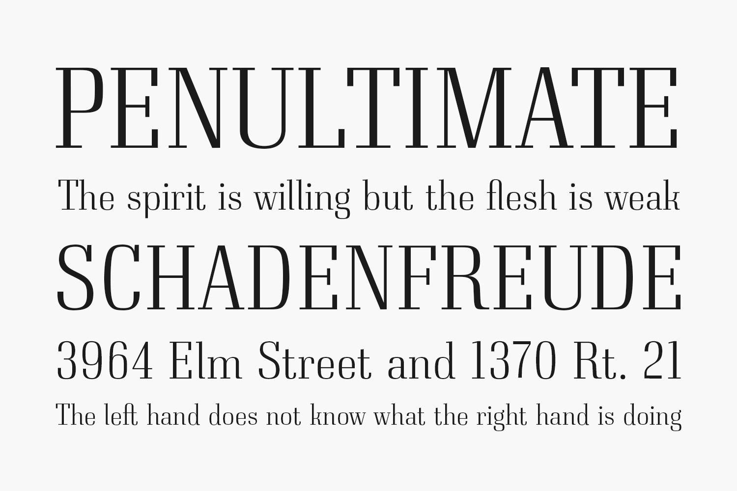 Neumann Free Font