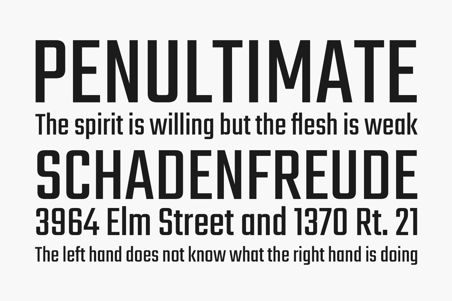 Teko Free Font Family