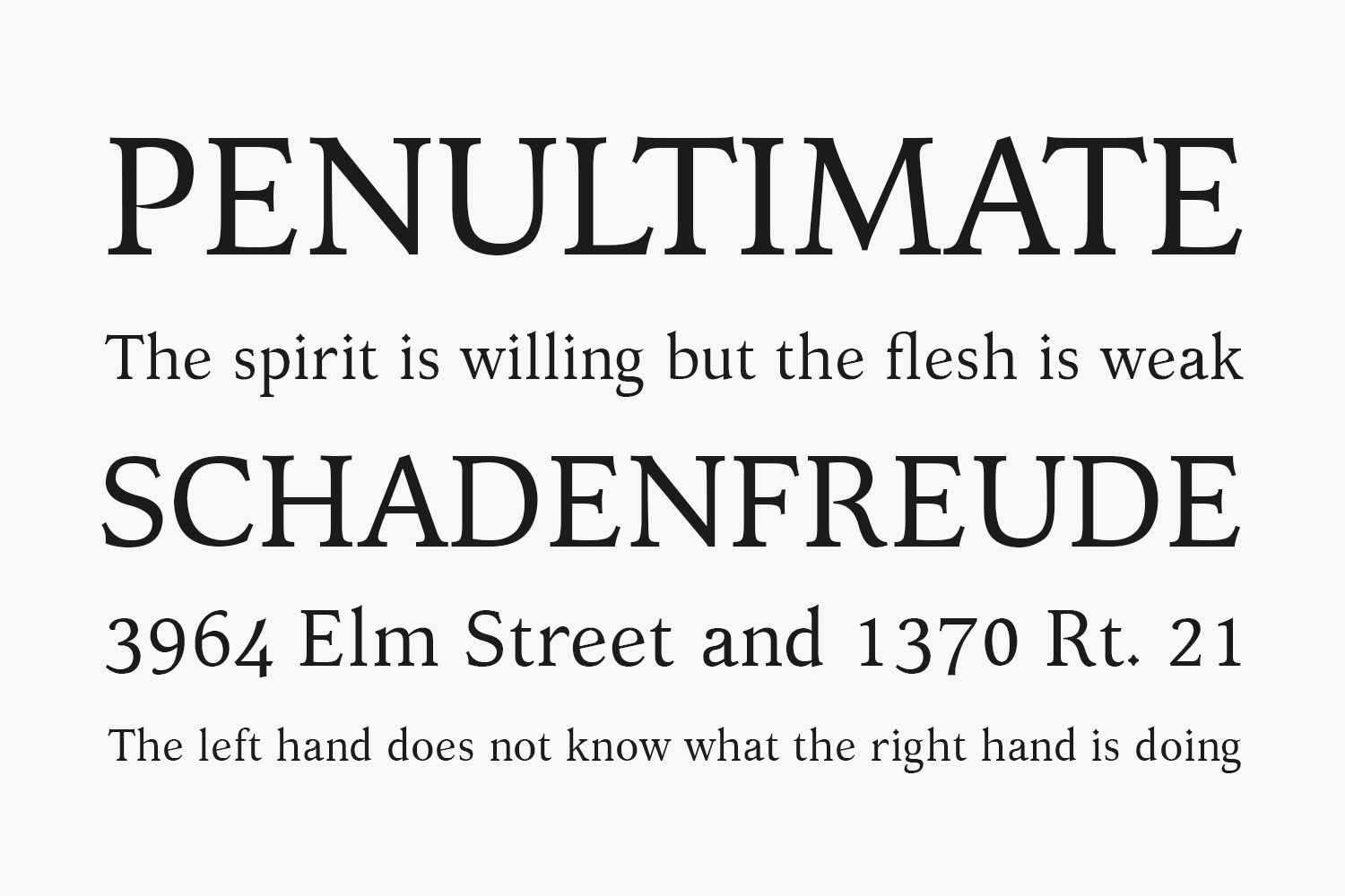 Kelvinch Free Font Family