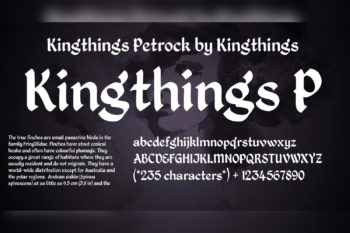 Kingthings Petrock