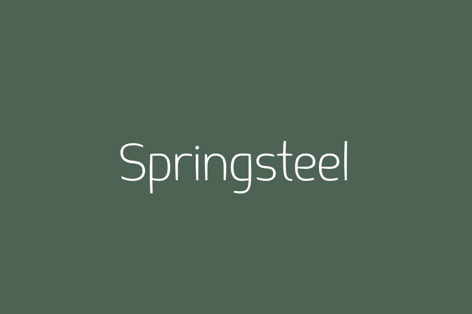 Springsteel