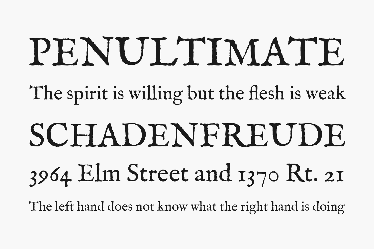 I m шрифты. Garamond шрифт. Garamond шрифт лицензия. Garamond Premier Pro font. Im fell DW pica Pro Italic.