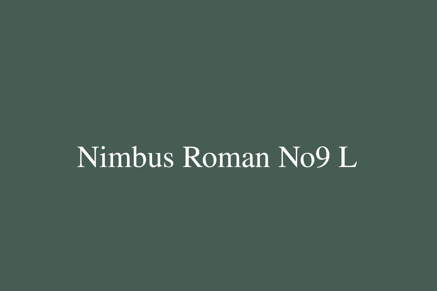 Nimbus Roman No9 L