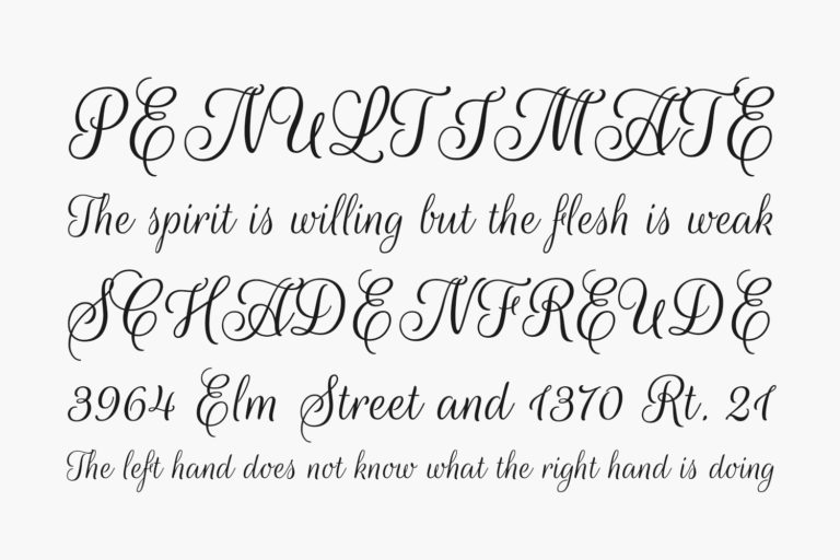 Rouge Script Fonts Shmonts