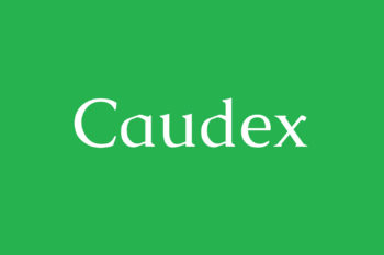 Caudex