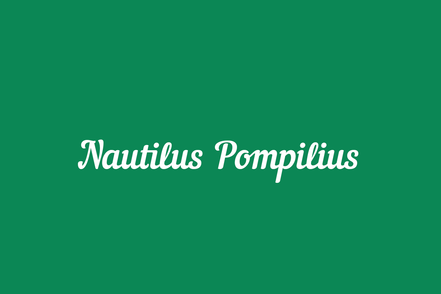 Nautilus Pompilius