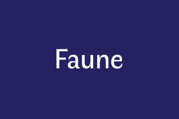 Faune