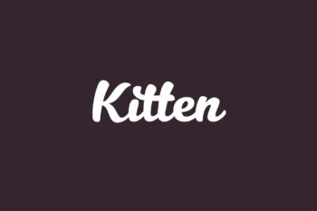 Kitten