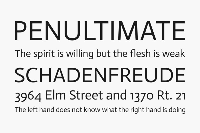 Actor | Fonts Shmonts