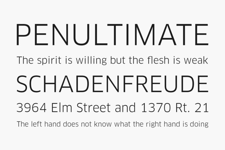 FF Clan Fonts Shmonts