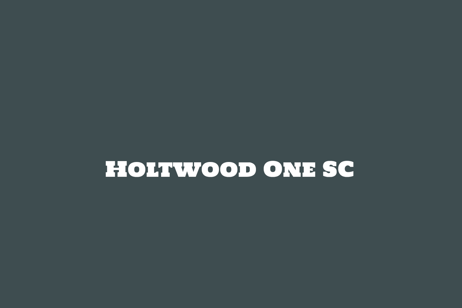 Holtwood One SC