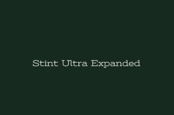 Stint Ultra Expanded