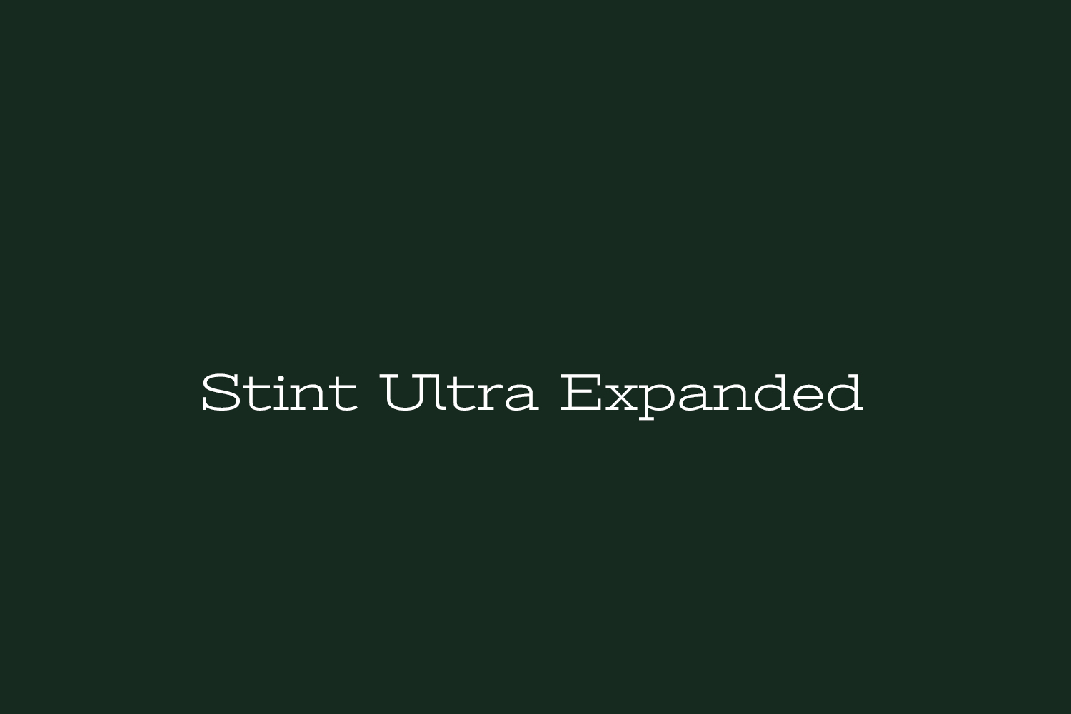 Stint Ultra Expanded