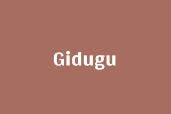 Gidugu