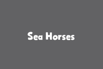 Sea Horses