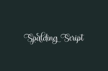 Spalding Script