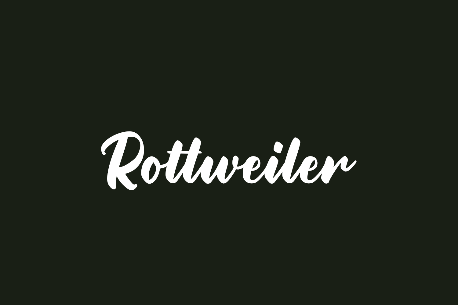 Rottweiler