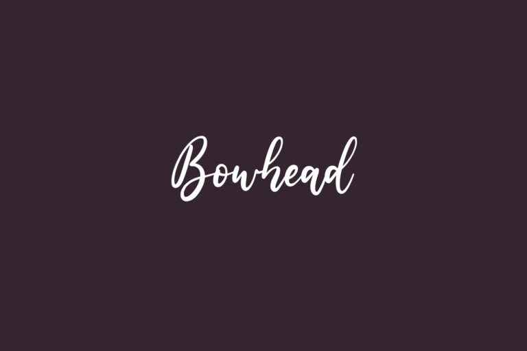 Bowhead | Fonts Shmonts