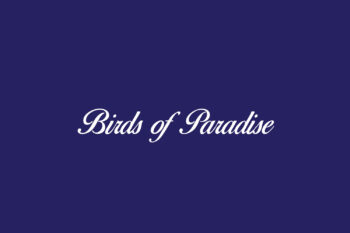 Birds of Paradise Free Font