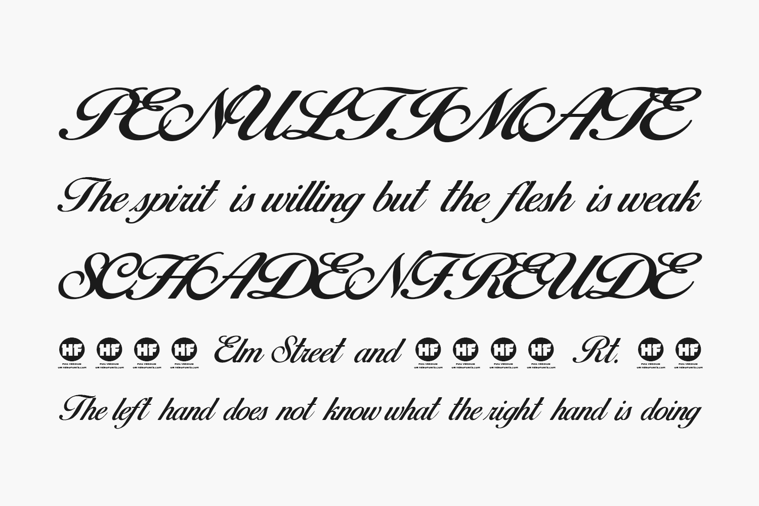Birds of Paradise | Fonts Shmonts