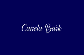 Canela Bark Free Font