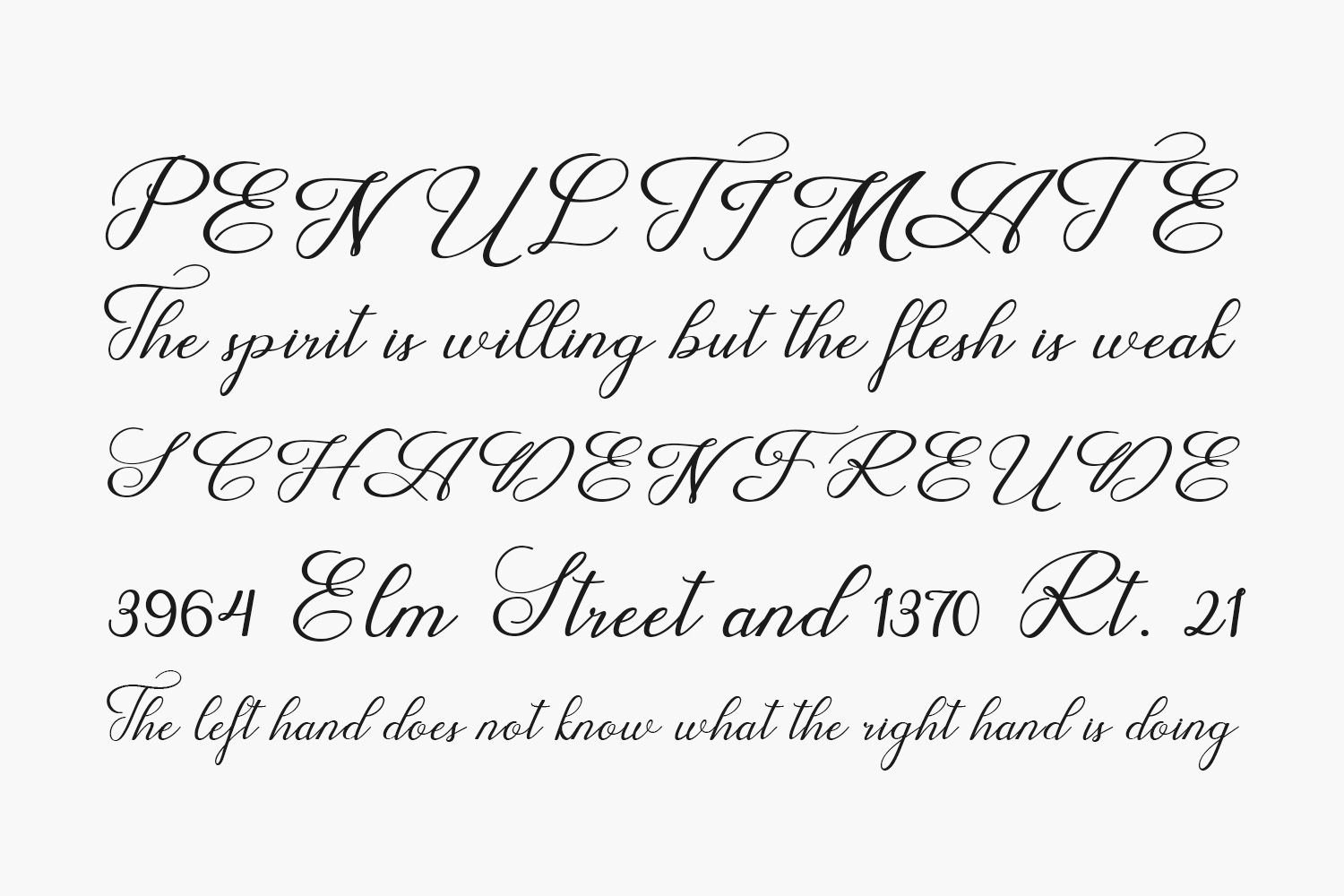 Wedding Script Fonts Shmonts