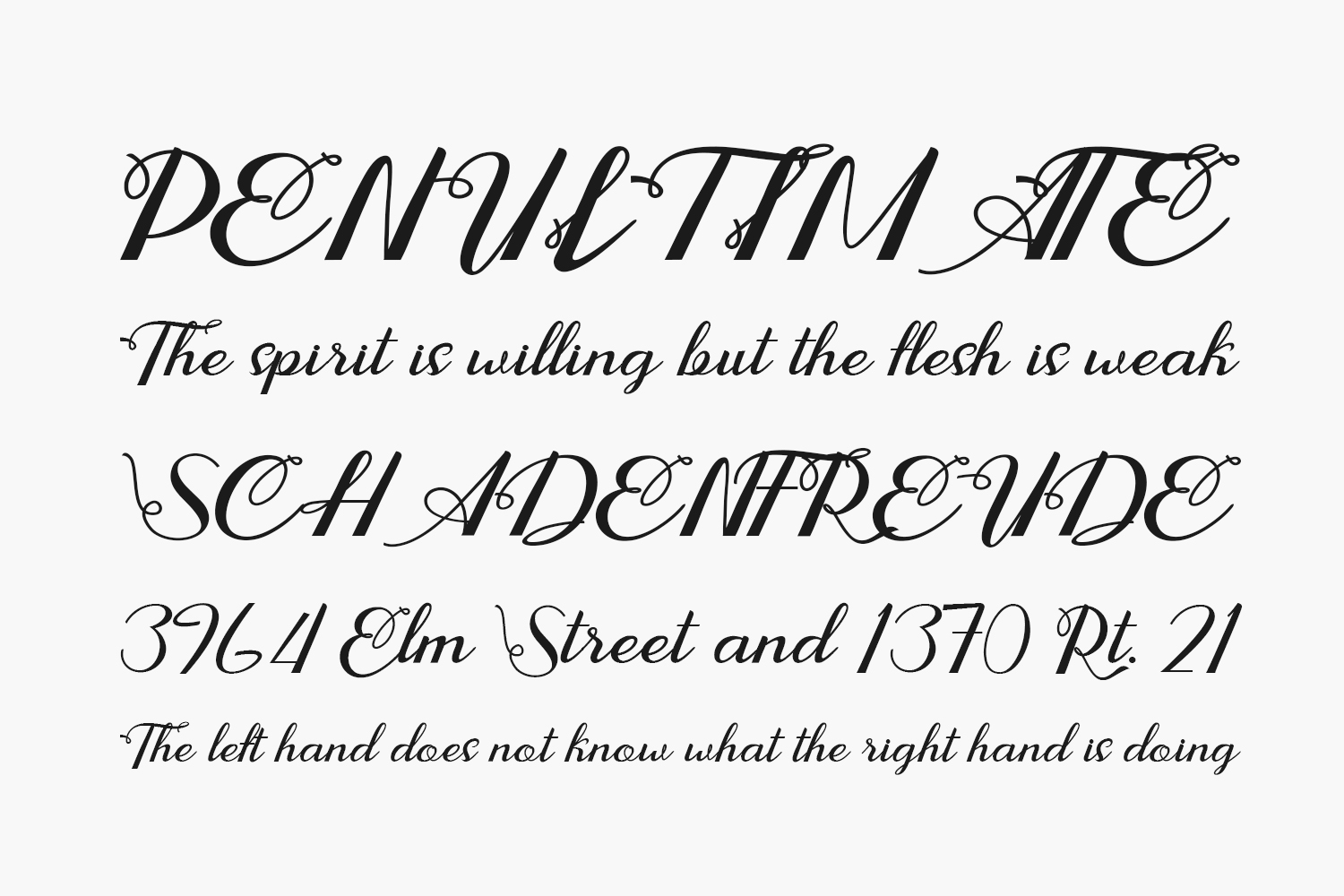 Andara Free Font