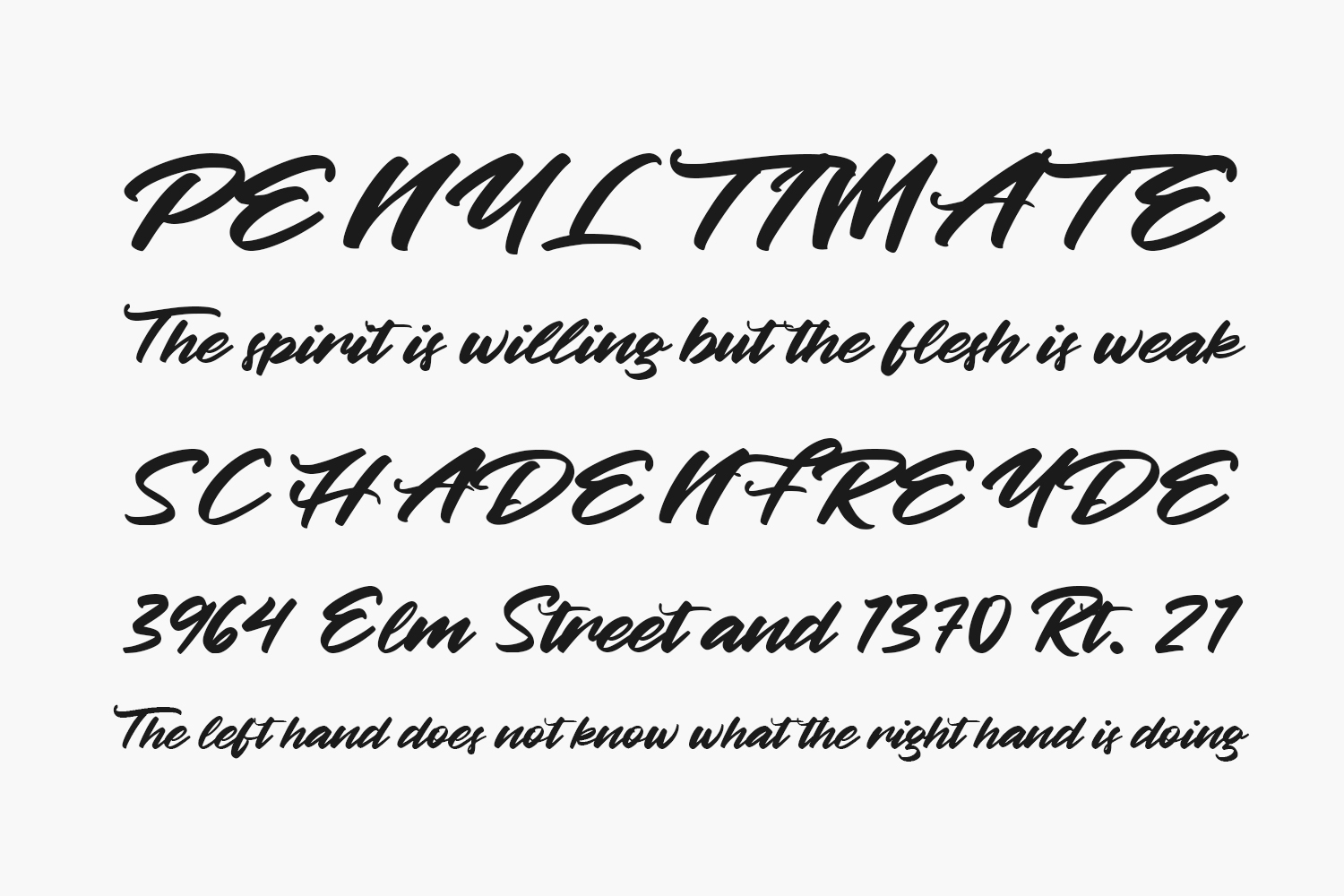 Betty Finty Free Font