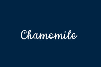 Chamomile Free Font