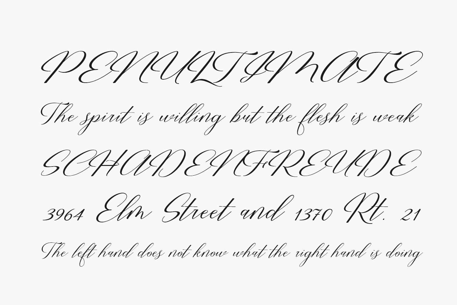 Restiany Script | Fonts Shmonts