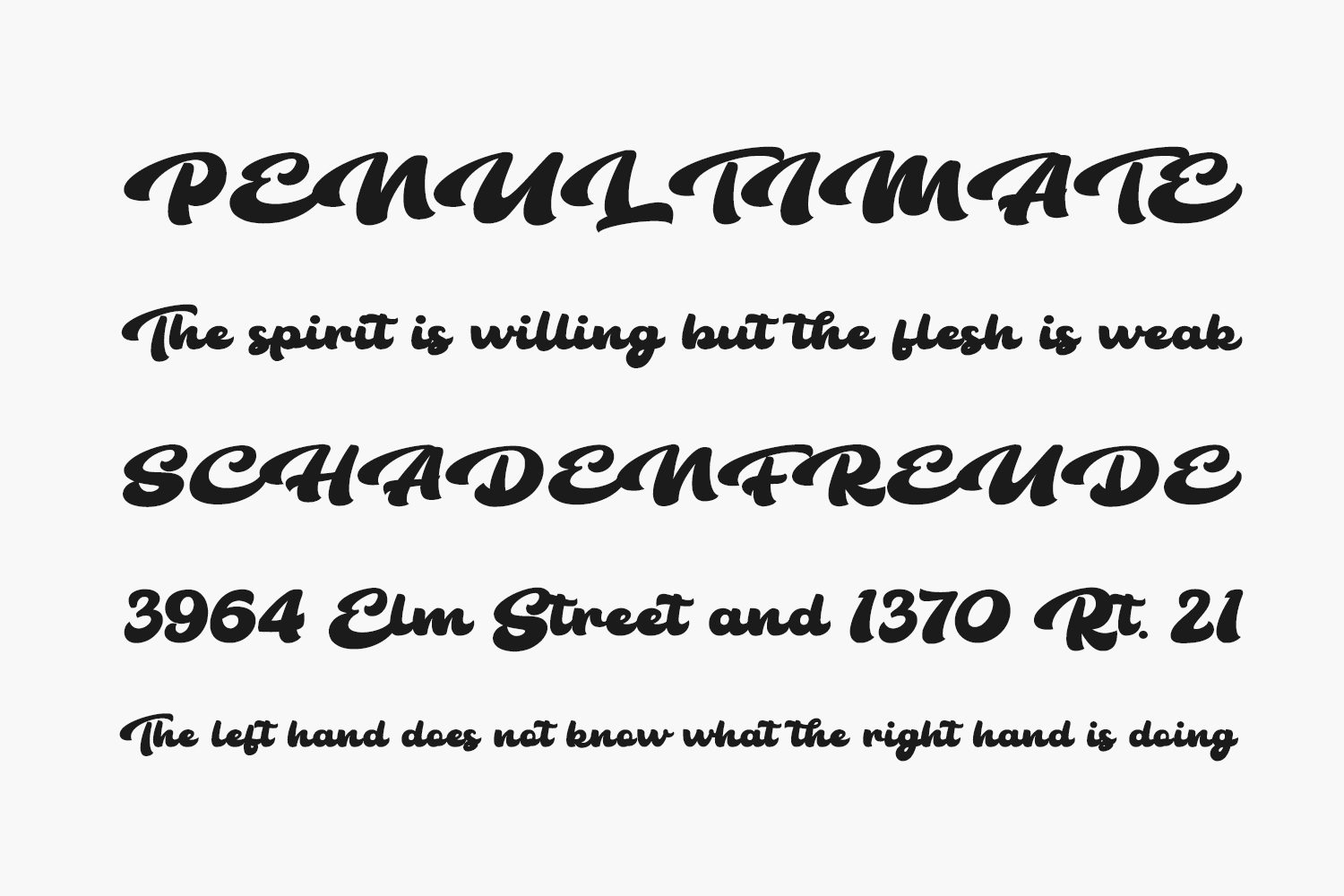 The Bambank Script Free Font