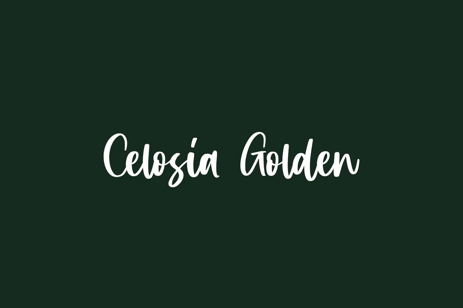 Celosia Golden Free Font