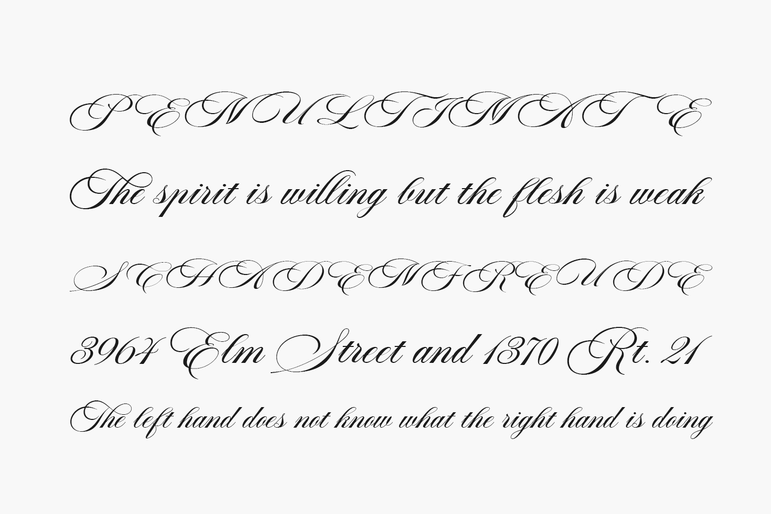 Aston Script Pro Free Font