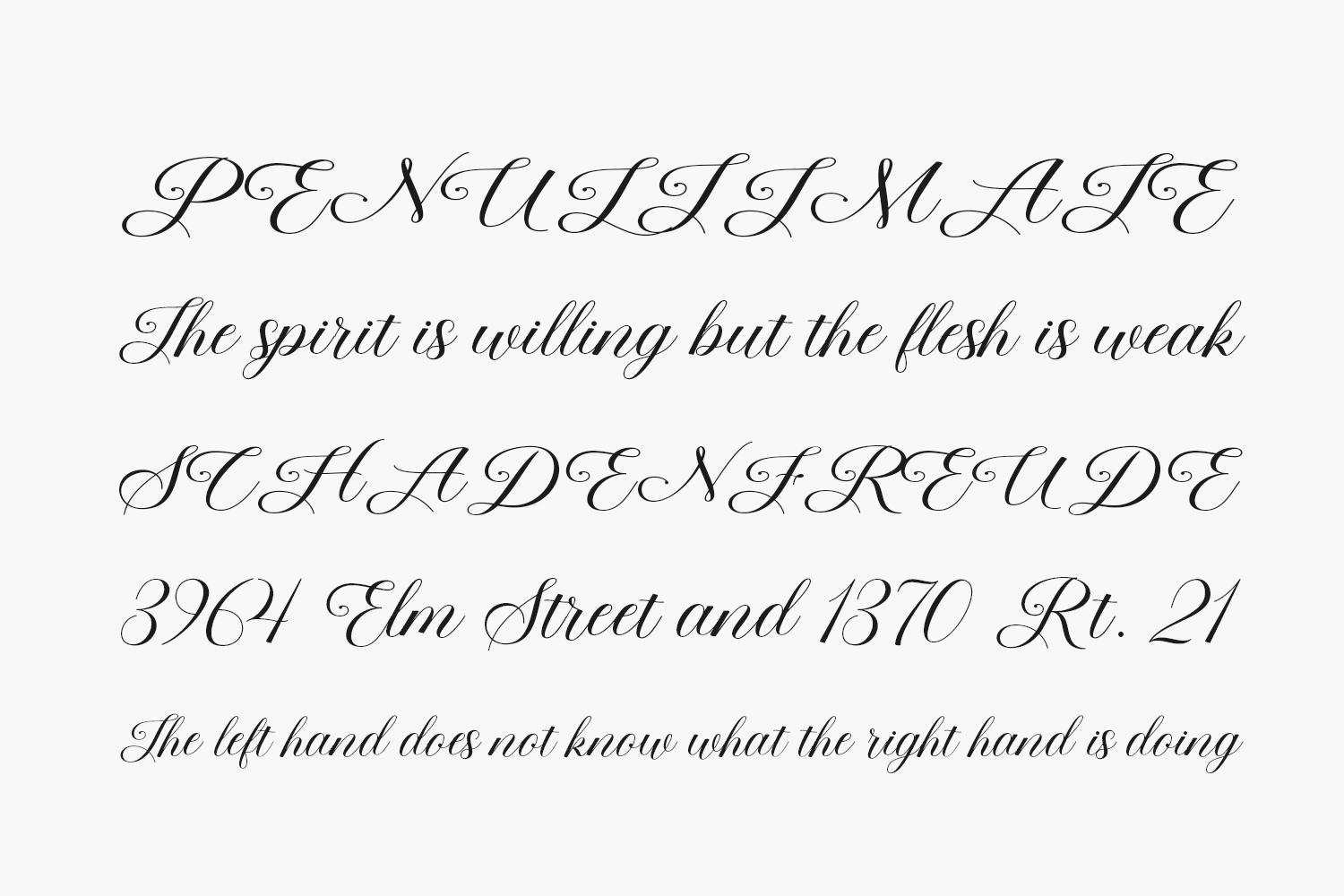 Beauty Queen Script Free Font