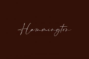 Hammington Free Font