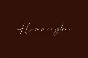 Hammington Free Font