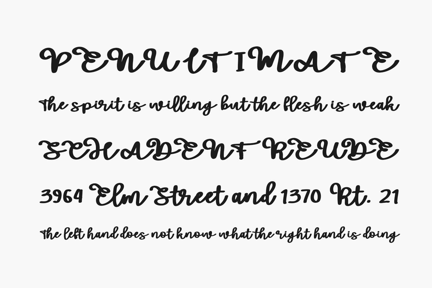 Raymond Free Font