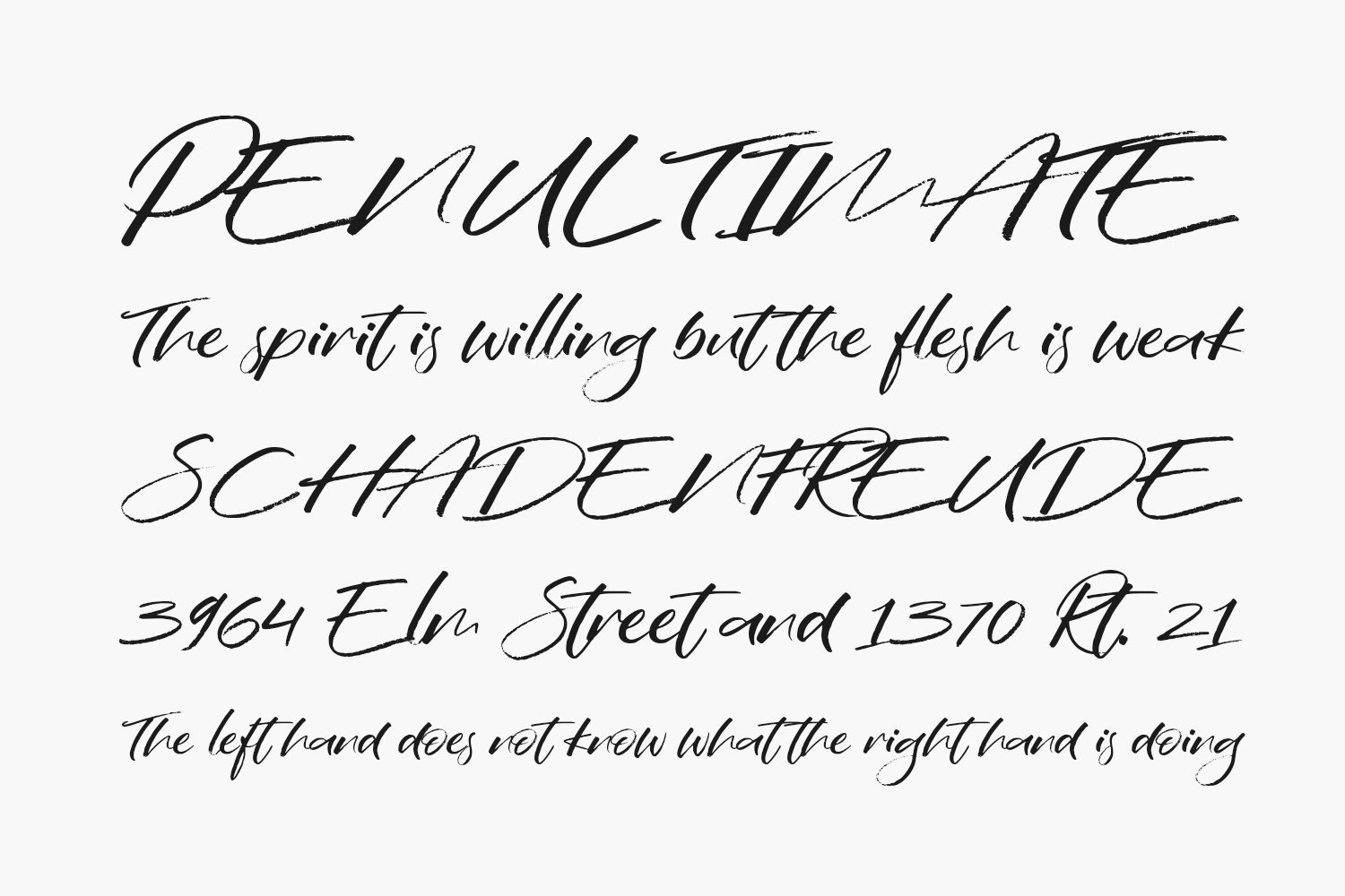 Wildbreak Free Font