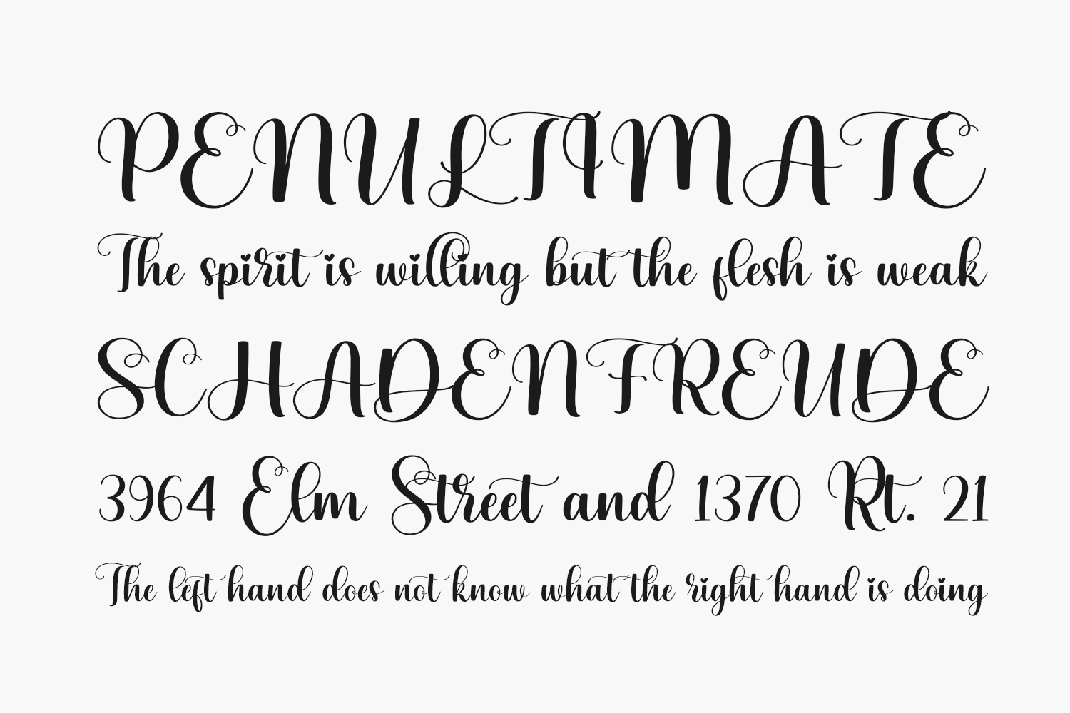 Bellarose Free Font