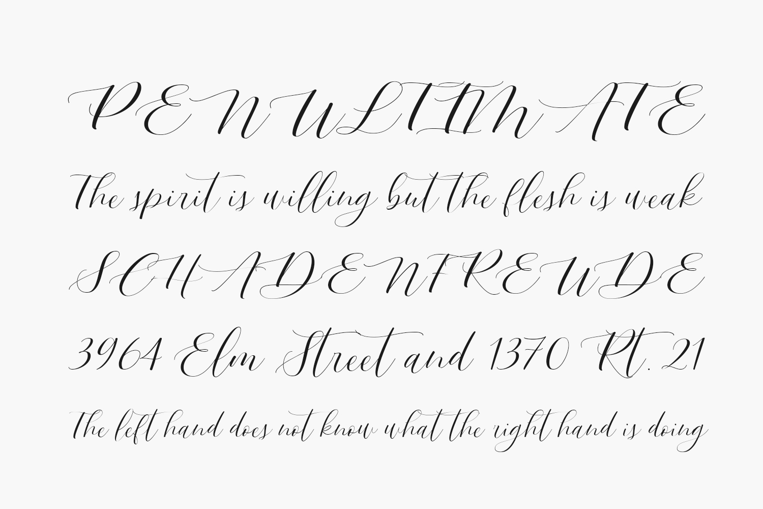 Bergamote Free Font