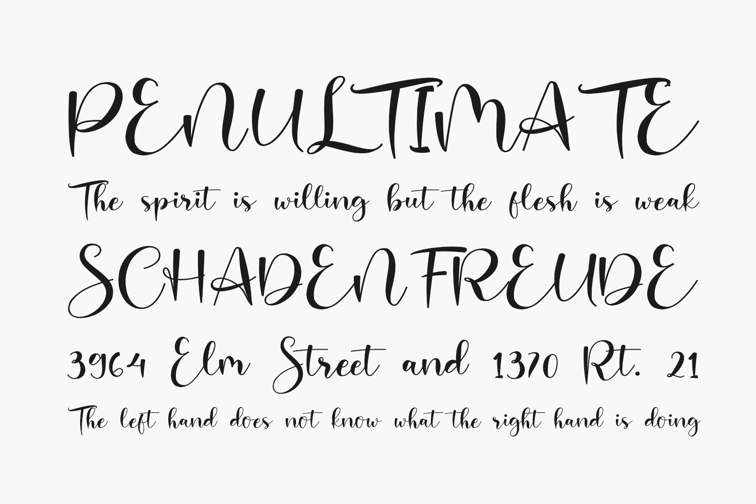 Charlotte Free Font