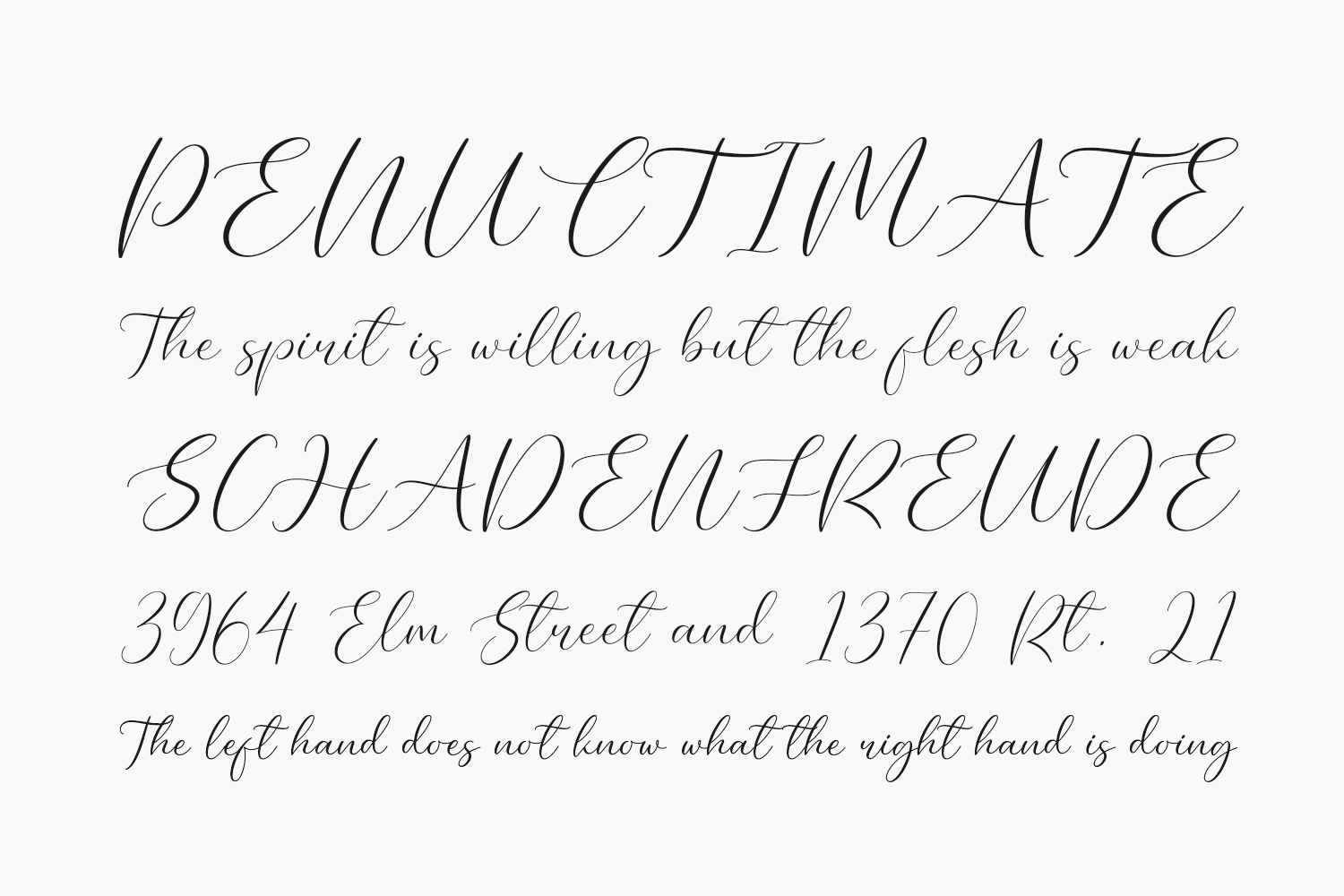 Elegant Free Font