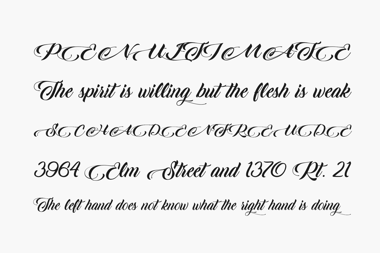 King Lionel Free Font