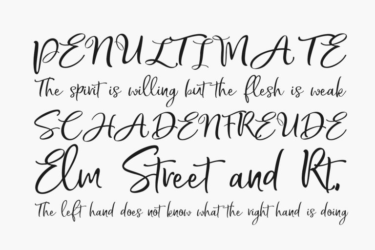 Bread Store Fonts Shmonts